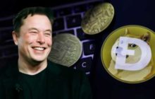 Монета Baby Dogecoin взлетела на 85% из-за Илона Маска