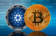 Cardano опередил биткоин по популярности на eToro