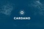 Пользователи могут лишиться Cardano из-за фальшивого кошелька Daedalus