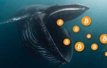 Из криптохранилища Xapo вывели 2000 BTC