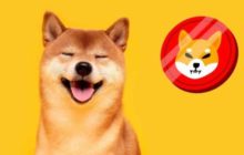 Киты начали скупать Shiba Inu
