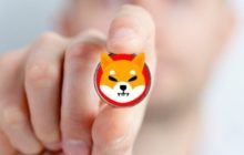 Shiba прорвался в первую десятку альткоинов