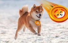 Токен Shiba Inu вошел в топ-11 по капитализации, прибавив почти 50% за сутки