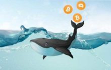 Киты скупили биткоины на $1,6 млрд всего за 5 минут