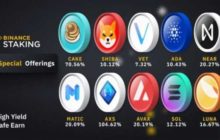 На бирже Binance запущен высокодоходный стейкинг Shiba Inu, Axie Infinity и PancakeSwap