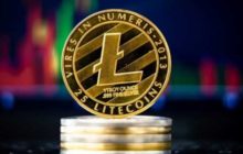 Bithumb и Upbit могут делистить Litecoin из-за обновления MimbleWimble