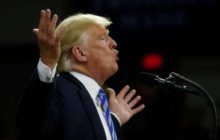 Продажи NFT Дональда Трампа упали на 99% с первых дней торгов
