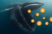 Киты продолжают хранить деньги на Binance и Coinbase