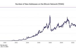 Количество новых адресов в сети биткоин достигло годового максимума