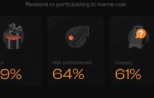 69% инвесторов в криптовалюты-мемы покупают их для развлечения