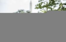 В ожидании спотовых ETF: новый обзор рынка криптовалют