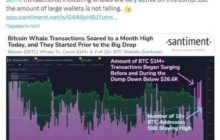 Активность криптокитов заставила цену биткоина упасть ниже $ 26000