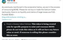 Участников Shiba Inu предупредили о мошенничестве с токеном Calcium