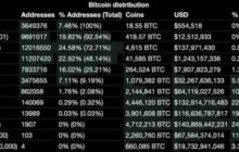 Сколько человек в мире владеют целым биткоином (BTC)?