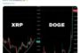 Если XRP повторит ценовую траекторию Dogecoin, токен прибавит 17 000%