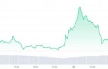 Разработчики Shiba Inu представят цифровые идентификаторы личности