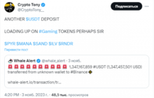 Криптокит скупает игровые токены на миллиарды долларов, их цена растёт