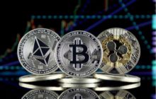 Криптокит, купивший биткоины за $1000, заинтересовался новым токеном за $0,04