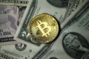 Создатель мемтокена Slerf случайно сжёг токены для аирдроп