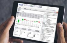 Бывшего CEO WEX Дмитрия Васильева задержали в Польше