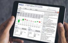Бывшего CEO WEX Дмитрия Васильева задержали в Польше
