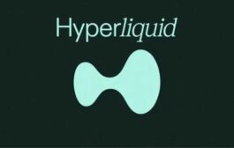 Hyperliquid завоевала 80% рынка DEX-бирж